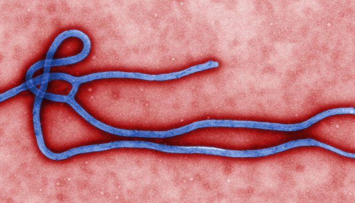 5.794 Kasus Ebola Tercatat di Kongo, WHO Pertahankan Status Darurat Internasional