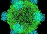 AI Berhasil Rancang Genom Virus Bakteriofag untuk Lawan Bakteri Resisten Antibiotik