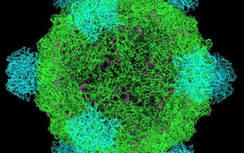 AI Berhasil Rancang Genom Virus Bakteriofag untuk Lawan Bakteri Resisten Antibiotik