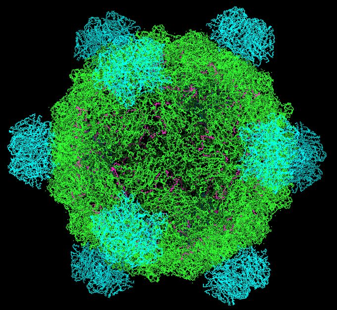 AI Berhasil Rancang Genom Virus Bakteriofag untuk Lawan Bakteri Resisten Antibiotik