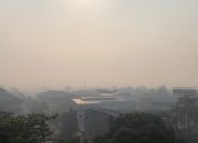 Karhutla 1.511,55 Hektare di Kalimantan, Enam Perusahaan Kena Sanksi Kemenhut