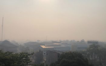 Karhutla 1.511,55 Hektare di Kalimantan, Enam Perusahaan Kena Sanksi Kemenhut Karhutla 1.511,55 Hektare di Kalimantan, Enam Perusahaan Kena Sanksi Kemenhut