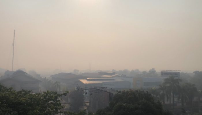 Karhutla 1.511,55 Hektare di Kalimantan, Enam Perusahaan Kena Sanksi Kemenhut