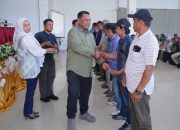 Pemkab Luwu Siapkan 8 Juta Bibit Kakao untuk 8.000 Hektare Perkebunan Pemkab Luwu Siapkan 8 Juta Bibit Kakao untuk 8.000 Hektare Perkebunan