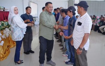 Pemkab Luwu Siapkan 8 Juta Bibit Kakao untuk 8.000 Hektare Perkebunan Pemkab Luwu Siapkan 8 Juta Bibit Kakao untuk 8.000 Hektare Perkebunan