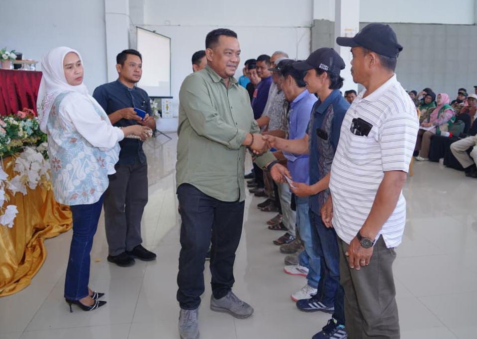 Pemkab Luwu Siapkan 8 Juta Bibit Kakao untuk 8.000 Hektare Perkebunan