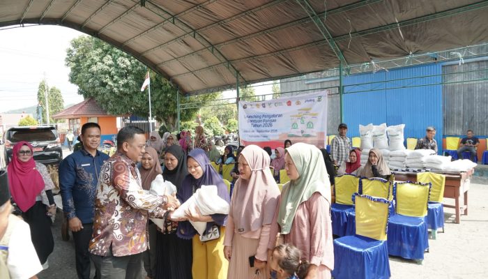 Kabar Gembira! 50 Ribu Warga Luwu Bakal Terima Bantuan Beras, Cek Jadwalnya