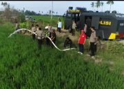 Sawah Kekeringan, Polres Luwu Kerahkan Water Cannon Demi Selamatkan Petani dari Gagal Panen