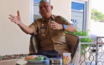 Debit Air Menyusut, Luwu Terapkan Sistem Irigasi Bergilir