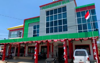 Soal Pasien Beli Obat di Luar, Kepala Puskesmas Bua Beri Klarifikasi