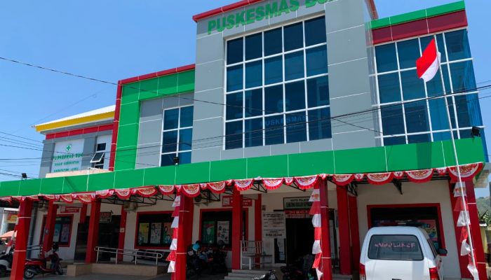 Soal Pasien Beli Obat di Luar, Kepala Puskesmas Bua Beri Klarifikasi