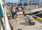 Gempa M7,7 di NTT Tewaskan 38 Orang, Ribuan Warga Mengungsi
