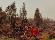 Karhutla Kalimantan Belum Reda, 1.842 Titik Panas Terpantau di Lima Provinsi Karhutla Kalimantan Belum Reda, 1.842 Titik Panas Terpantau di Lima Provinsi