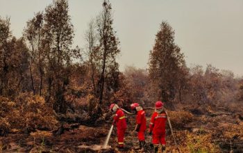 Karhutla Kalimantan Belum Reda, 1.842 Titik Panas Terpantau di Lima Provinsi Karhutla Kalimantan Belum Reda, 1.842 Titik Panas Terpantau di Lima Provinsi
