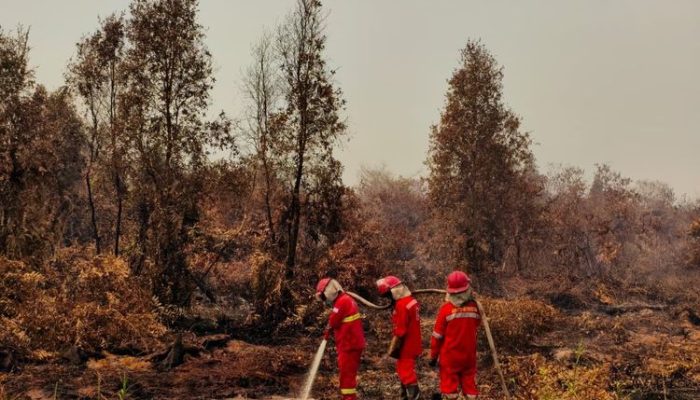 Karhutla Meluas di Kalimantan, Kalbar Catat 38.310 Hektare Lahan Terbakar