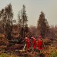 Karhutla Meluas di Kalimantan, Kalbar Catat 38.310 Hektare Lahan Terbakar