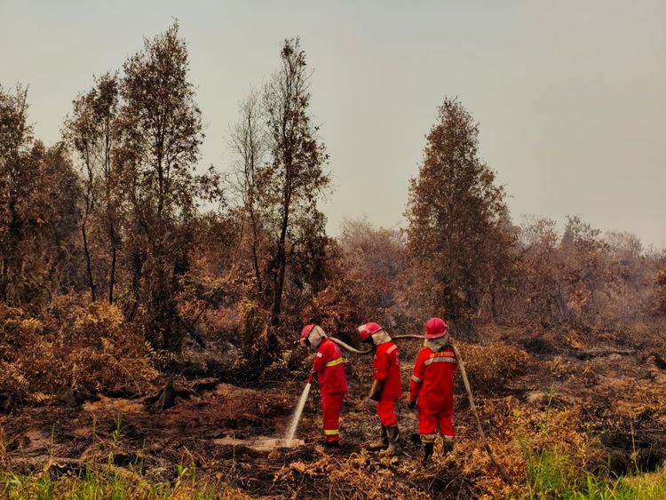 Karhutla Meluas di Kalimantan, Kalbar Catat 38.310 Hektare Lahan Terbakar