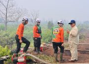 BRIN Uji Tepung Singkong untuk Padamkan Karhutla, Tantangan Ada di Skala Besar