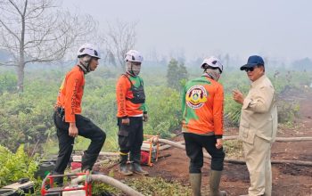 BRIN Uji Tepung Singkong untuk Padamkan Karhutla, Tantangan Ada di Skala Besar