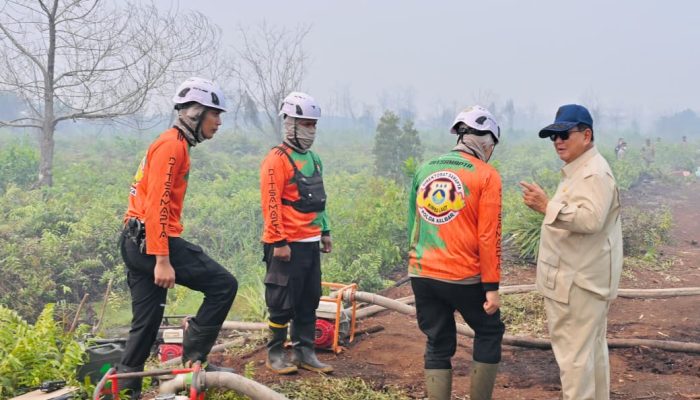 BRIN Uji Tepung Singkong untuk Padamkan Karhutla, Tantangan Ada di Skala Besar