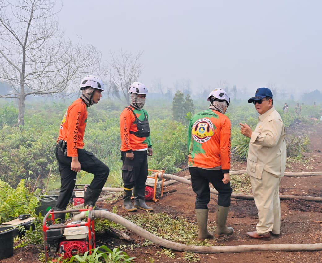 BRIN Uji Tepung Singkong untuk Padamkan Karhutla, Tantangan Ada di Skala Besar