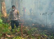 Kebakaran Lahan Satu Hektare di Bua Luwu, Polisi dan Damkar Bergerak Cepat