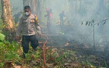 Kebakaran Lahan Satu Hektare di Bua Luwu, Polisi dan Damkar Bergerak Cepat