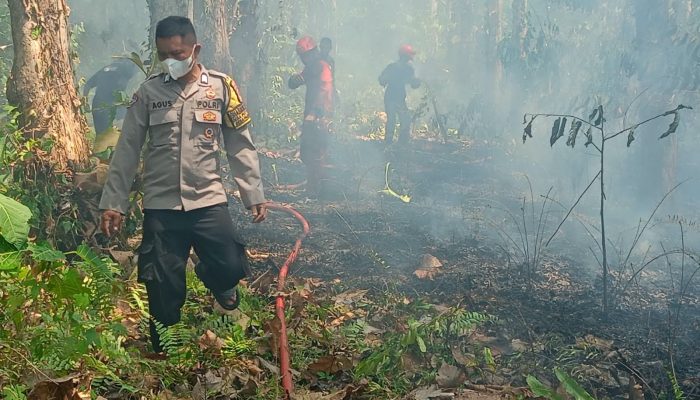 Kebakaran Lahan Satu Hektare di Bua Luwu, Polisi dan Damkar Bergerak Cepat