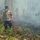 Kebakaran Lahan Satu Hektare di Bua Luwu, Polisi dan Damkar Bergerak Cepat