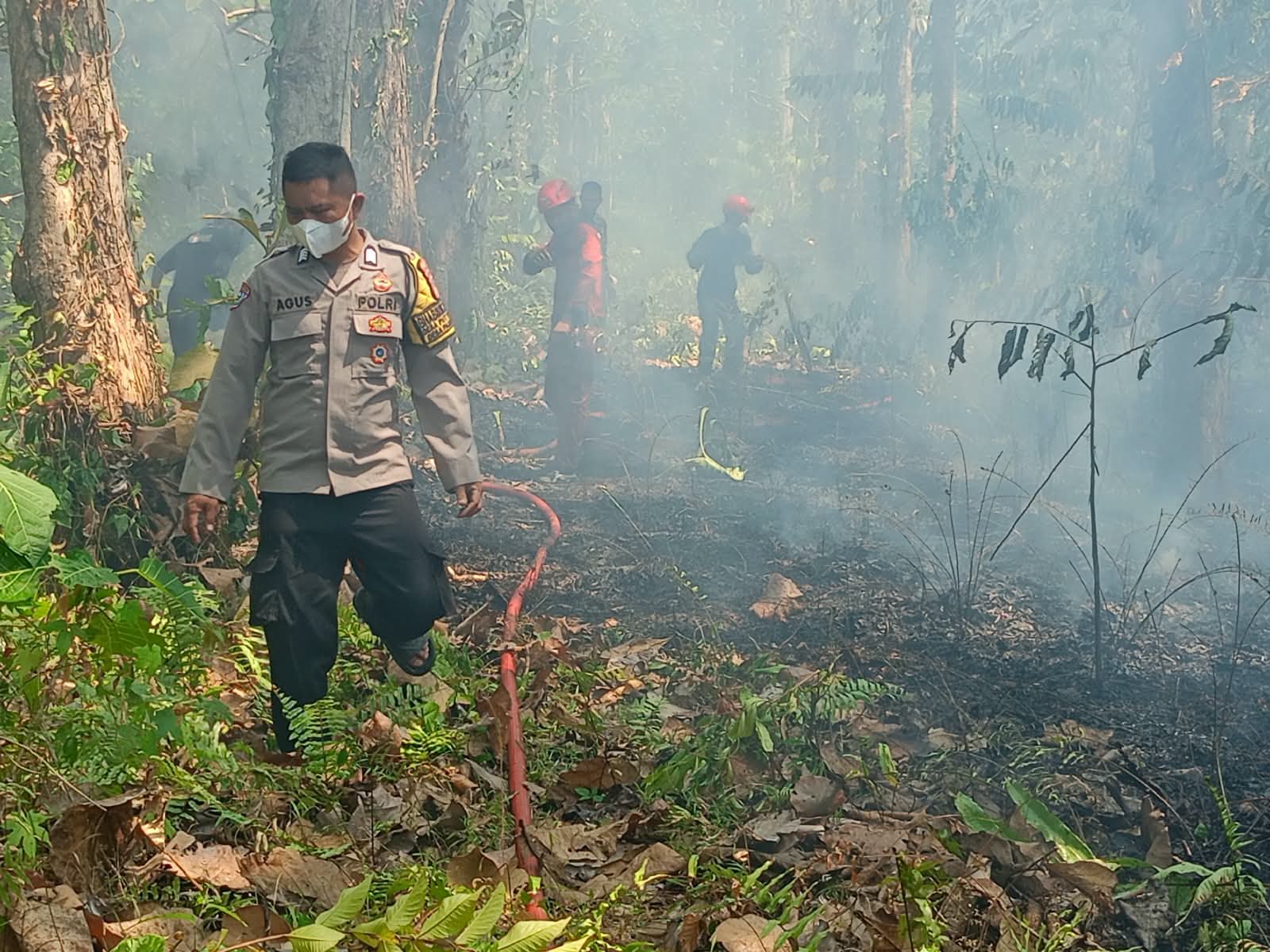 Kebakaran Lahan Satu Hektare di Bua Luwu, Polisi dan Damkar Bergerak Cepat