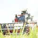 Panen Padi Rante Damai Tembus 8,9 Ton per Hektare