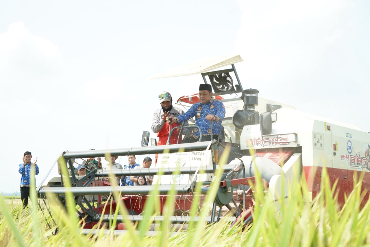 Panen Padi Rante Damai Tembus 8,9 Ton per Hektare