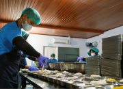 Insentif Dapur MBG Berubah, Layanan di Bawah 3.000 Porsi Terima Kurang dari Rp6 Juta