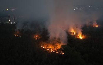 Hujan Turun di Kalimantan, BMKG Sebut Ancaman Karhutla Belum Berakhir