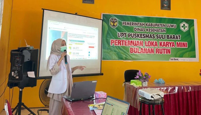 Waspada Luwu Diselimuti Smog Berbahaya, Dinkes Beri Peringatan Keras untuk Warga