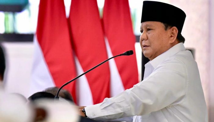 Pemerintah Siapkan 2 Juta Hektare Lahan Pangan, Prabowo Ingatkan Perlindungan Hutan