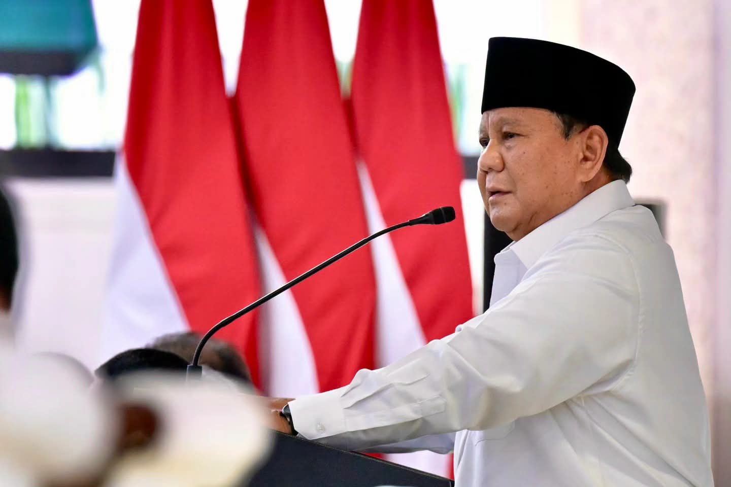 Pemerintah Siapkan 2 Juta Hektare Lahan Pangan, Prabowo Ingatkan Perlindungan Hutan